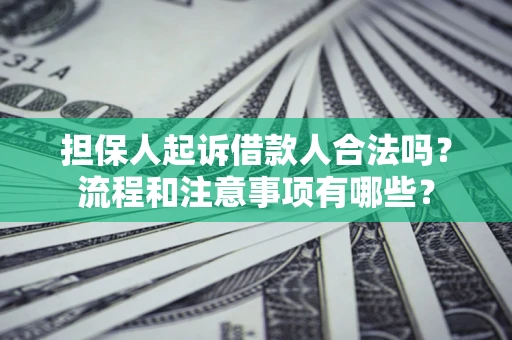 济南担保人起诉借款人合法吗？流程和注意事项有哪些？