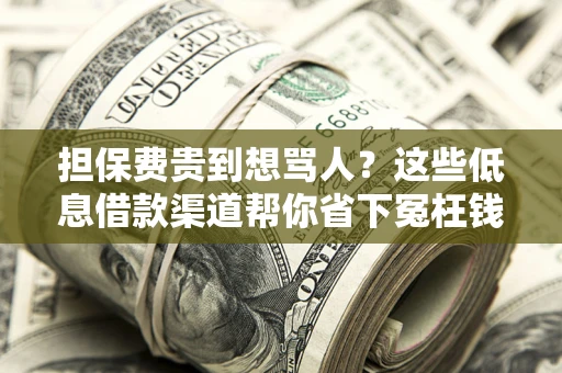 济南担保费贵到想骂人？这些低息借款渠道帮你省下冤枉钱