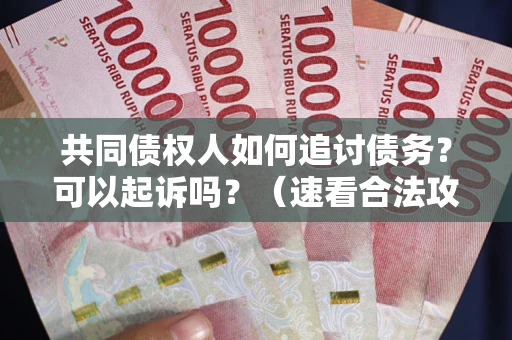 济南共同债权人如何追讨债务？可以起诉吗？（速看合法攻略）