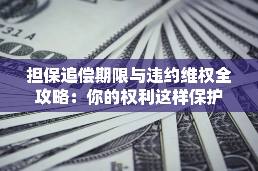 济南担保追偿期限与违约维权全攻略：你的权利这样保护