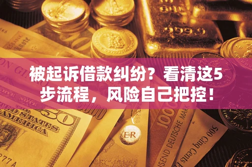 济南被起诉借款纠纷？看清这5步流程，风险自己把控！